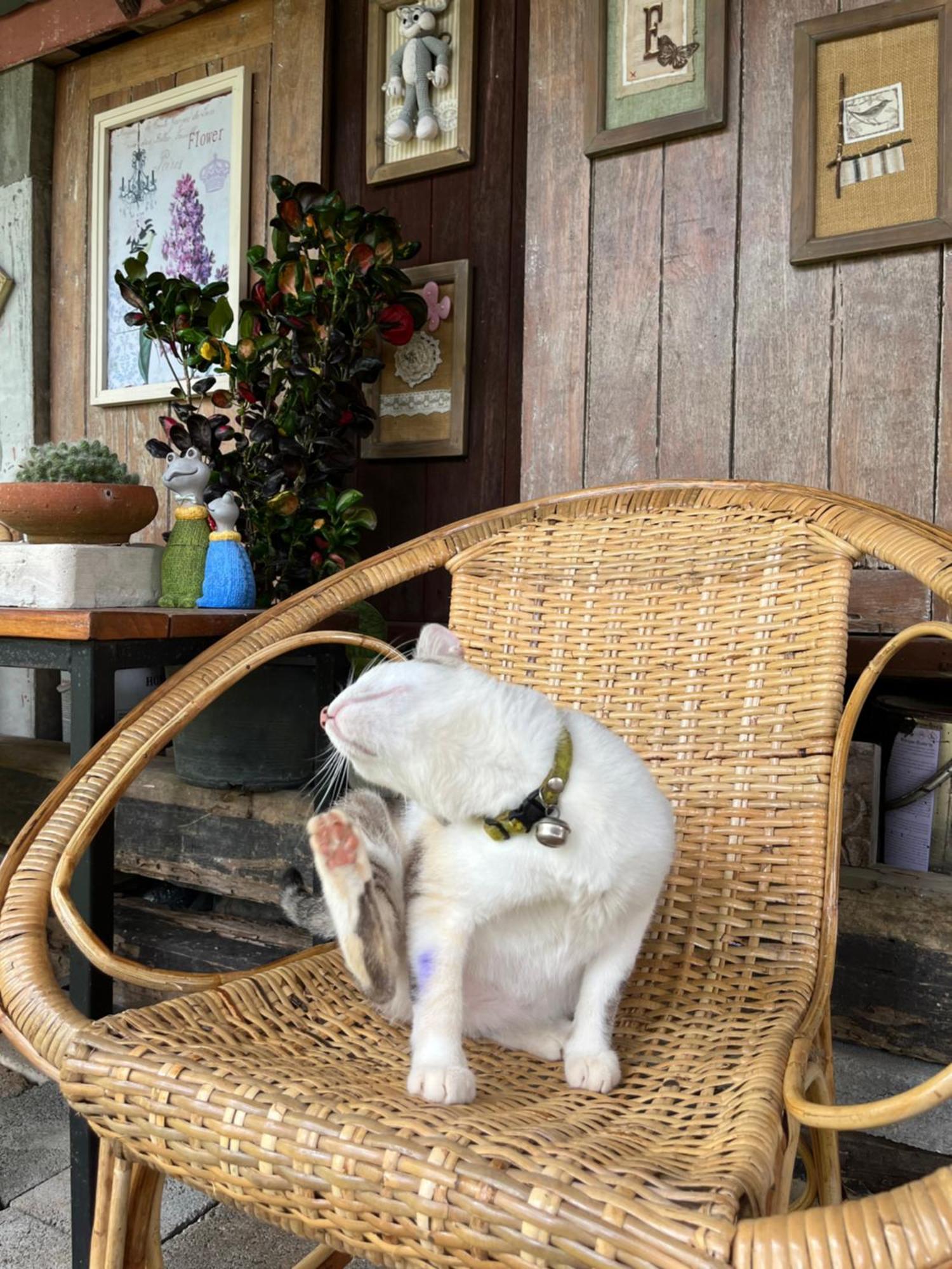 ครูหนูบ้านพัก แหลมงอบ Krunou Baanpak Trat Exterior photo